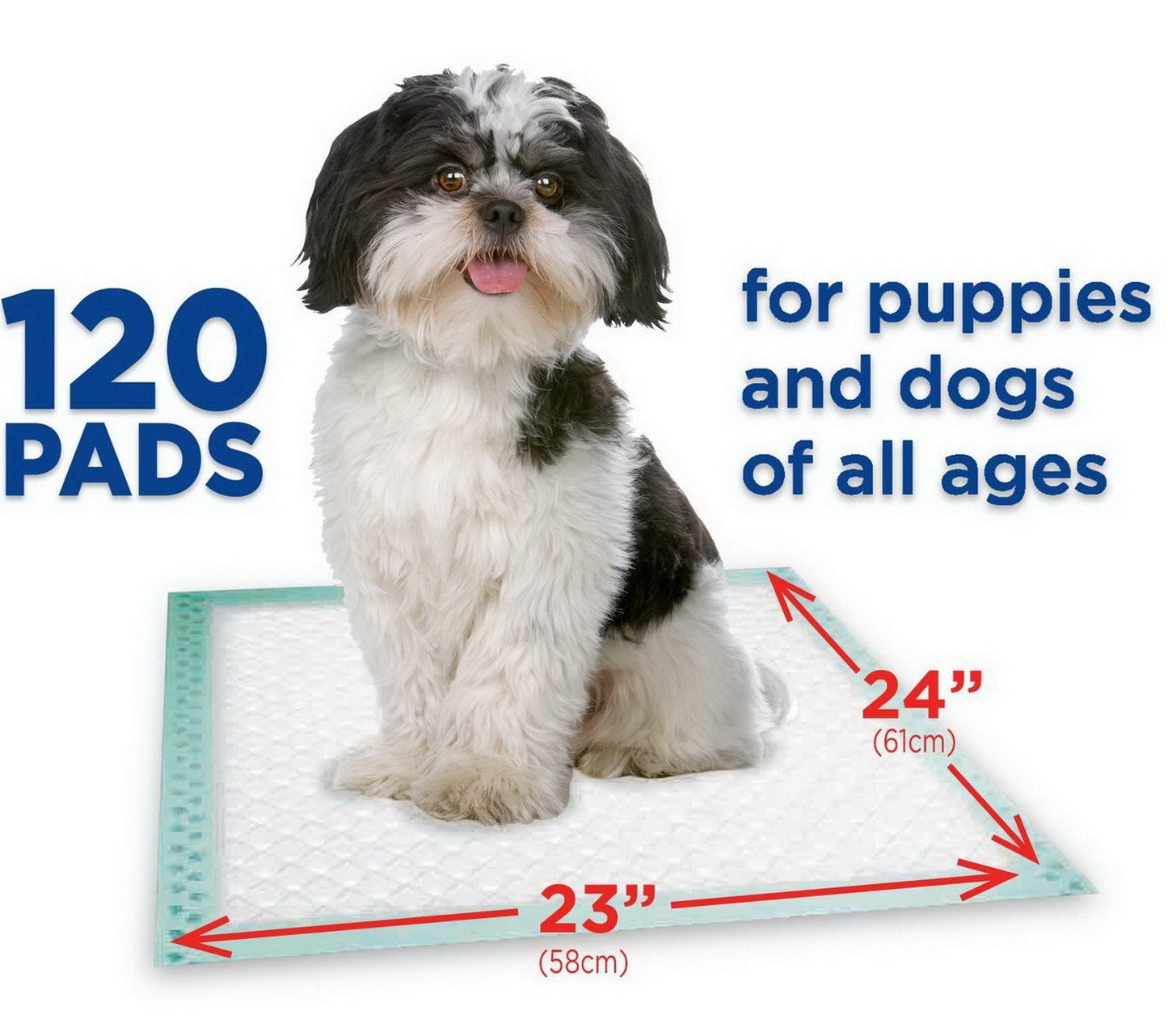 Box of 120 Pet Training Pads 23" x 24" 120 ct. Housebreaking Puppy Pads