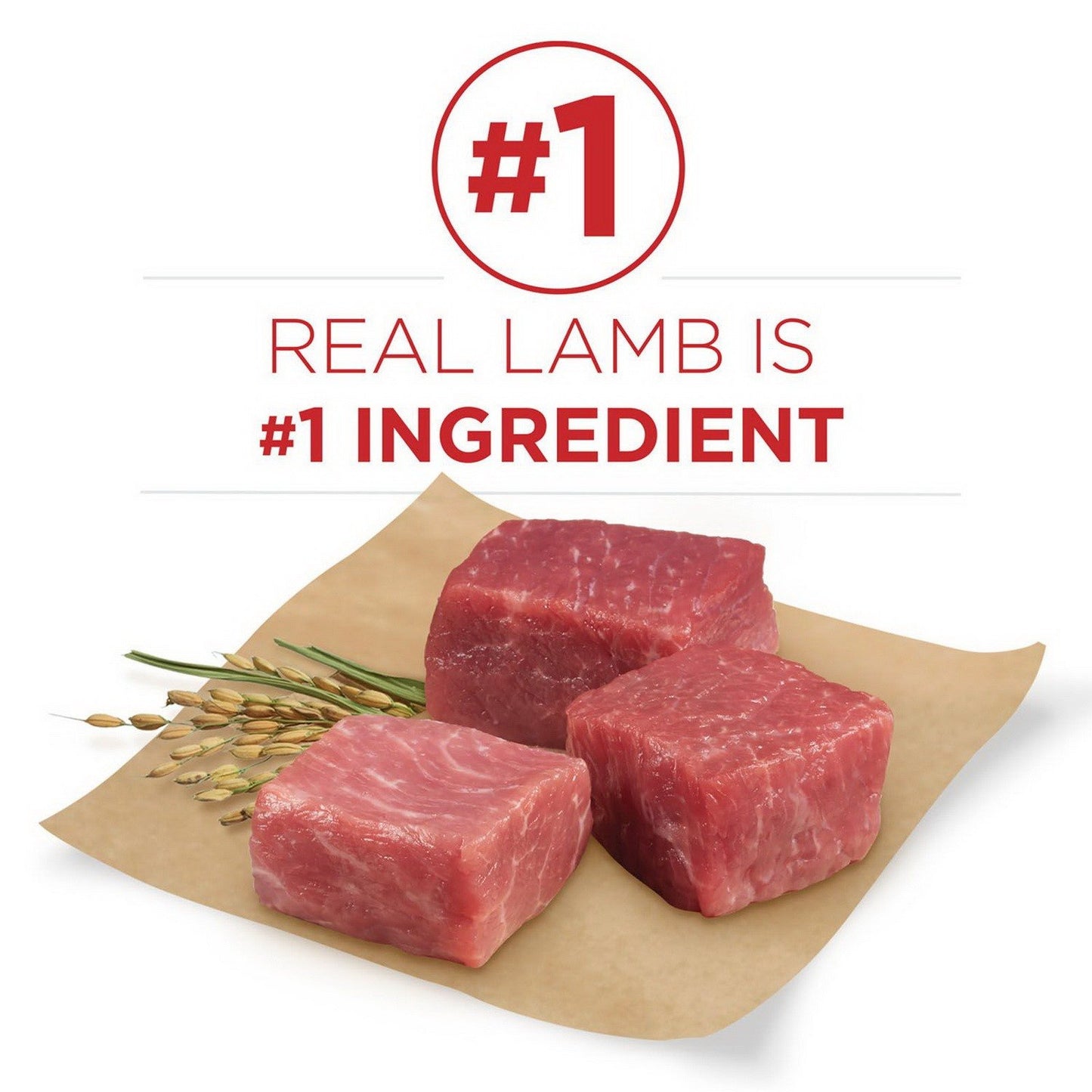 Purina One SmartBlend Adult Dry Dog Food Lamb & Rice 44 lb / True Instinct 40 lb