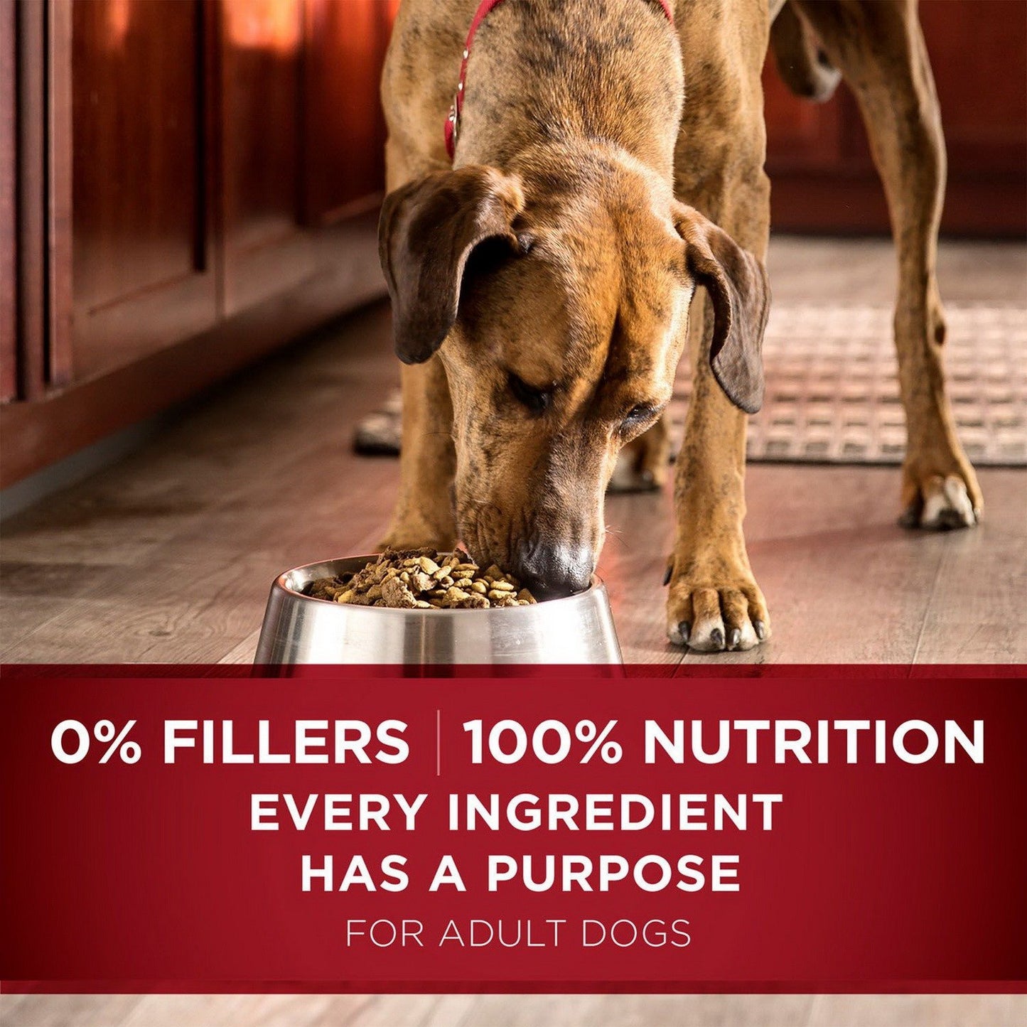 Purina One SmartBlend Adult Dry Dog Food Lamb & Rice 44 lb / True Instinct 40 lb