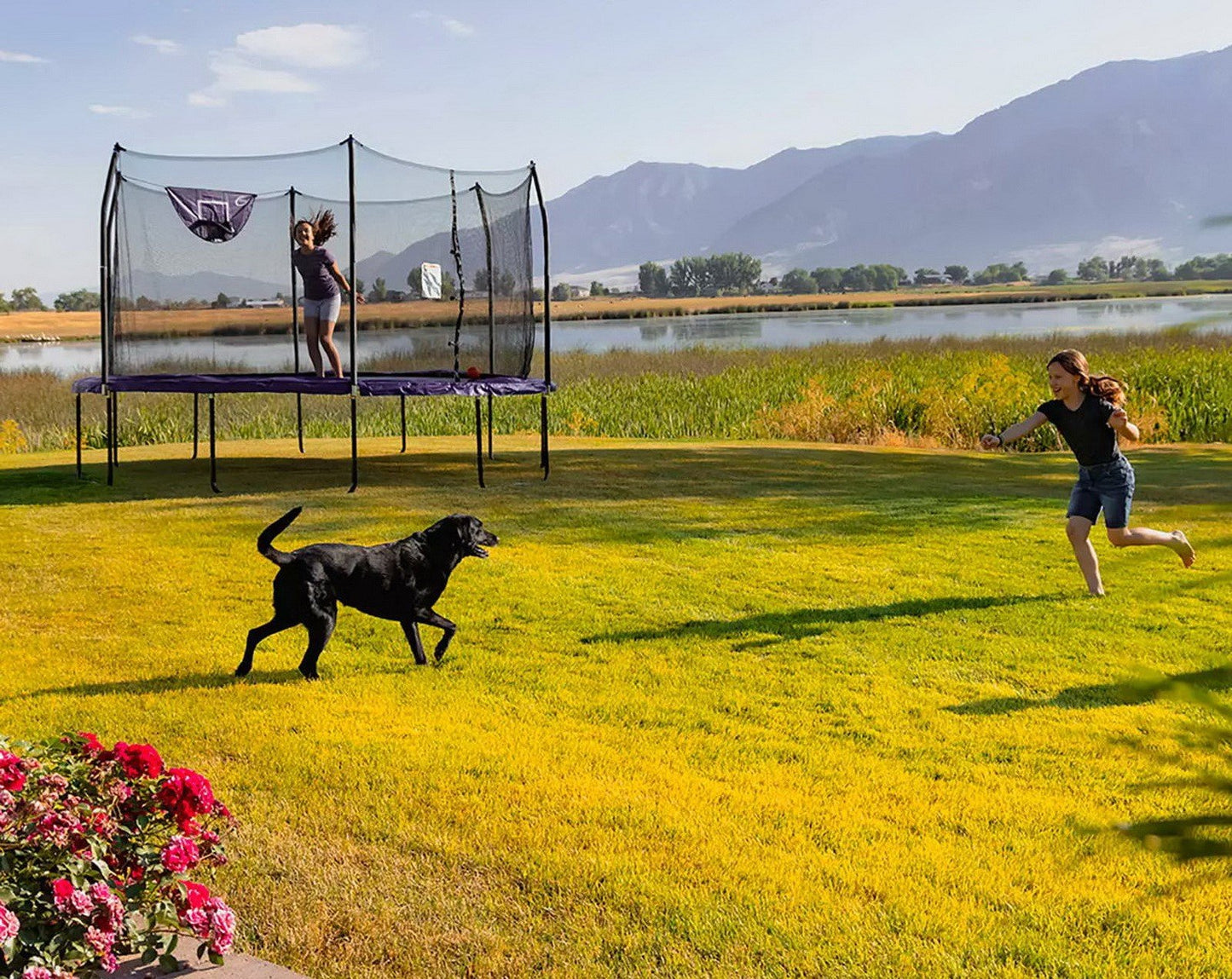Skywalker 14' Round Trampoline with Basketball Goal Hoop Ball & Safety Enclosure