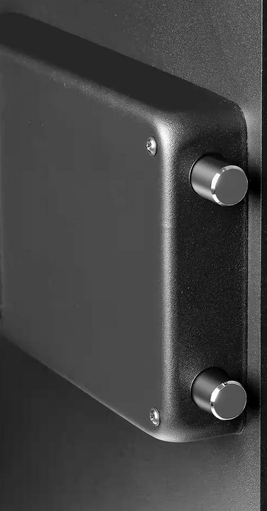 Fortress Extra Large Personal Safe with Electronic Lock & Backup Key Lock