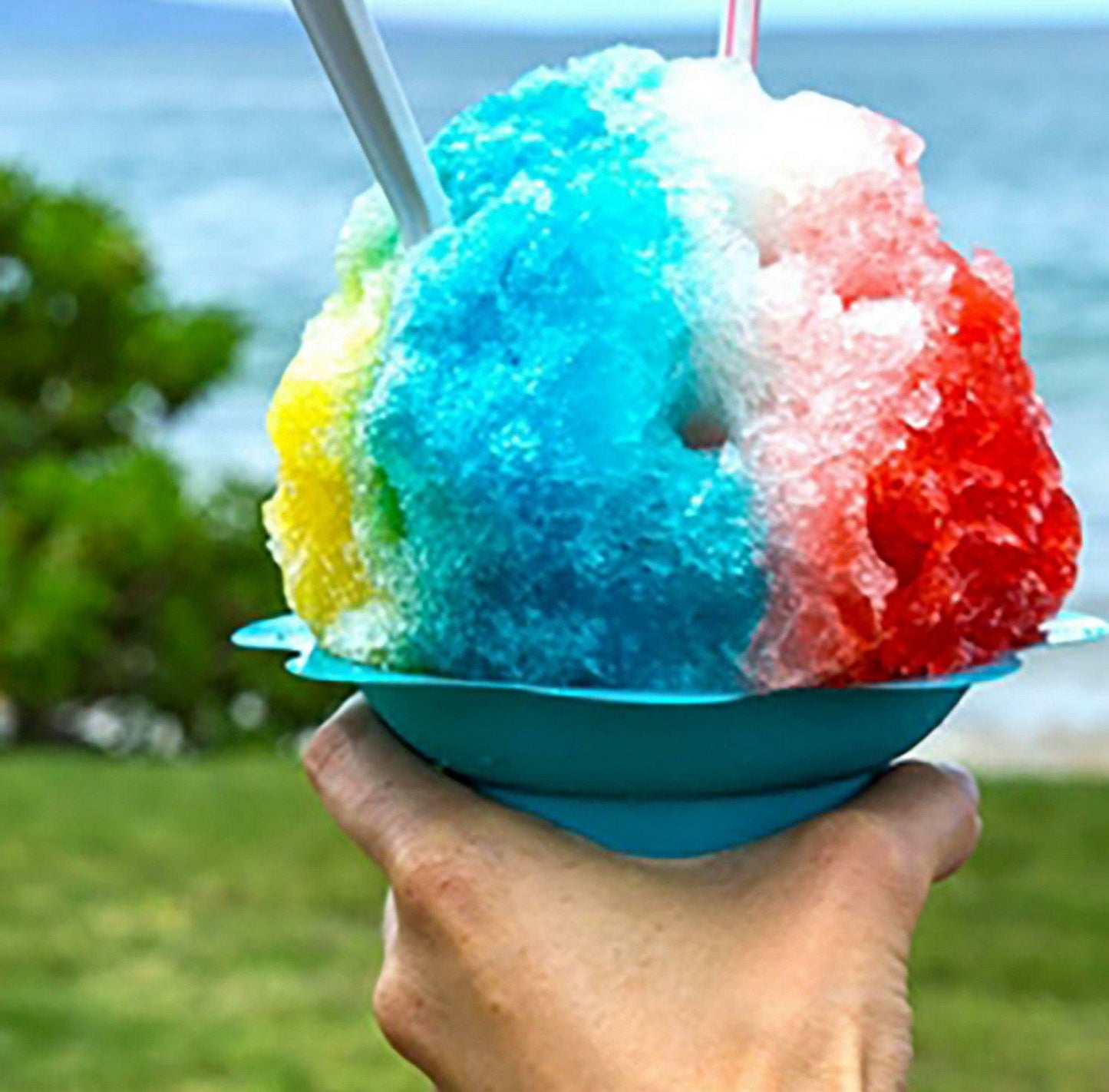Sno King Sno Cone Shaved Ice Machine Commercial Snow Cone Maker