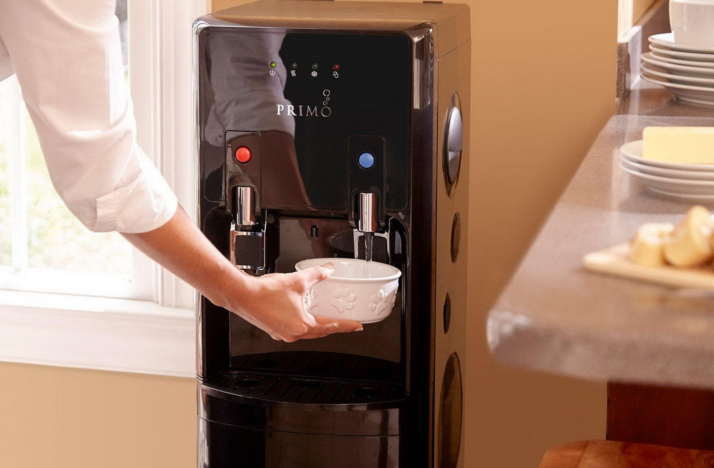 Primo 5 Gallon Hot & Cold Water Dispenser Bottom Load Stainless Steel