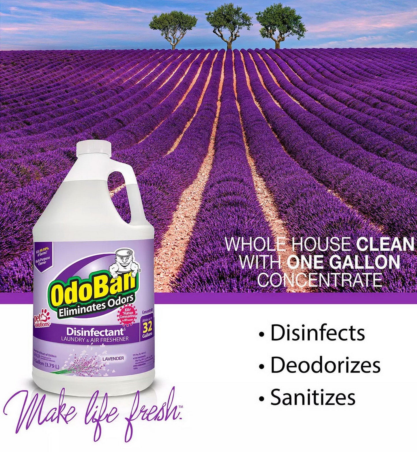 4 Gallons OdoBan Odor Eliminator and Disinfectant Concentrate Lavender Scent