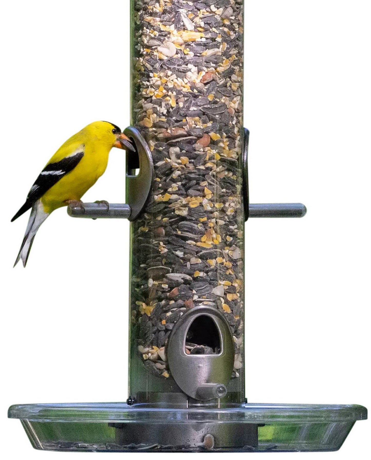 High Energy Blend Wild Bird Food Premium Mix of Seeds & Nuts 15 30 or 45 lbs