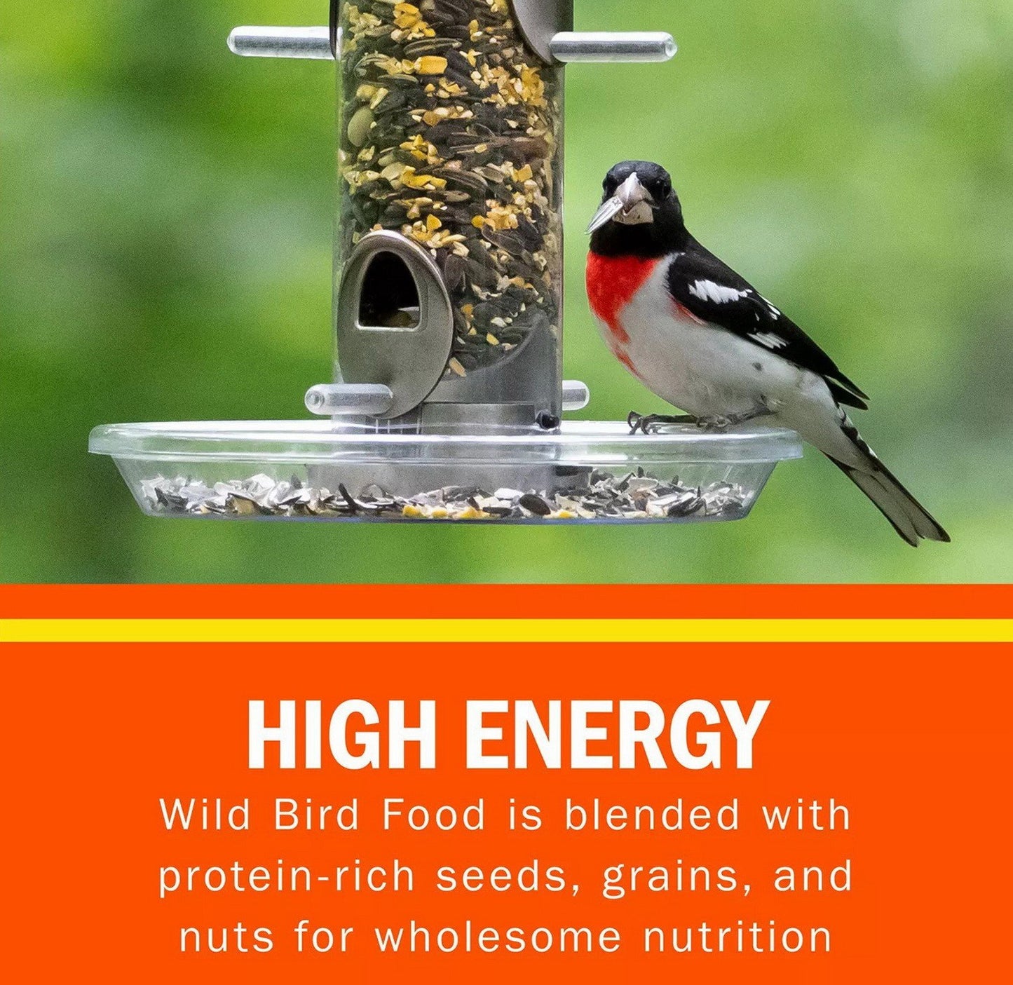 High Energy Blend Wild Bird Food Premium Mix of Seeds & Nuts 15 30 or 45 lbs