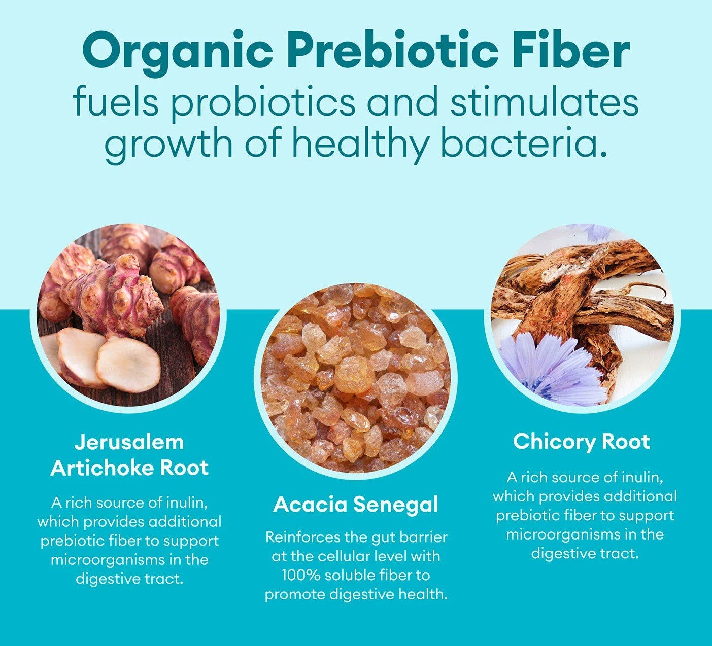 Physician's Choice 60 Billion CFU Probiotics Capsules 84 ct