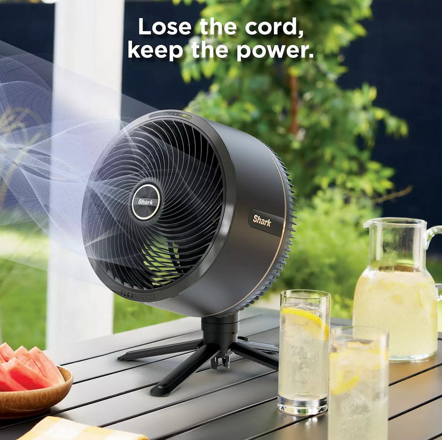 Shark FlexBreeze Fan with Mist Attachment Cordless & Corded Outdoor Indoor