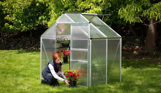 Walk-In 6' x 4' Greenhouse Aluminum with Sliding Door Roof Vent