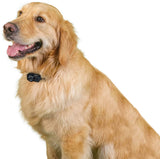Premier Pet Wireless Add-a-Dog Collar